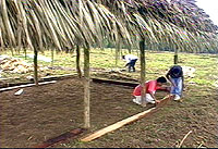 Cooperation in Mayan Villages