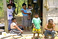 Mayan Culture