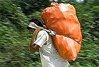 Taking home the reaps of the field