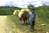 Sufficient food from the farm
